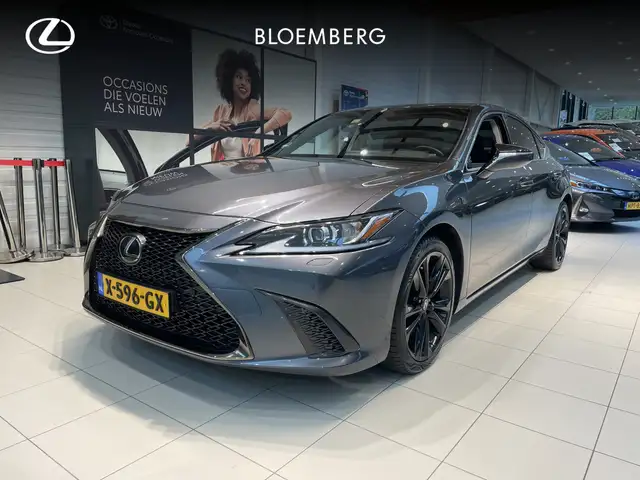 Lexus ES 300 300h Business F Sport Design |Leder | Schuifdak |
