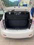 Lancia Ypsilon 1.2 69 CV Diva NEOPATENTATI Bianco - thumbnail 13