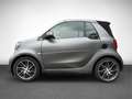 smart forTwo cabrio Cam SHZ Navi Grau - thumbnail 7