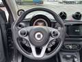 smart forTwo cabrio Cam SHZ Navi Grau - thumbnail 9