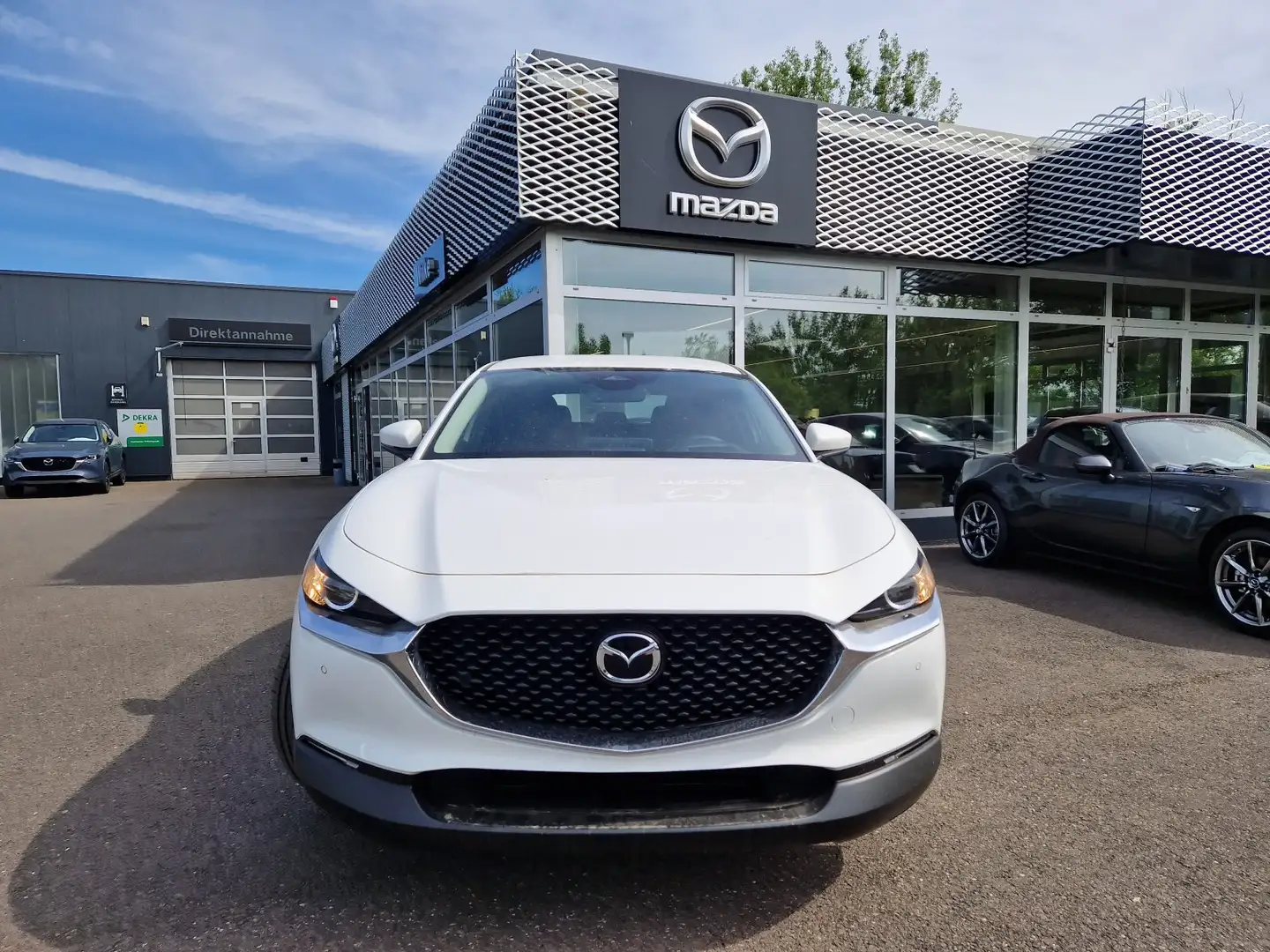 Mazda CX-30 Exclusive-line DASO DESI 2.0L e-SKYACTIV G 150ps F Weiß - 2