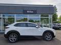 Mazda CX-30 Exclusive-line DASO DESI 2.0L e-SKYACTIV G 150ps F Weiß - thumbnail 4