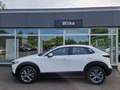 Mazda CX-30 Exclusive-line DASO DESI 2.0L e-SKYACTIV G 150ps F Weiß - thumbnail 3