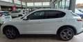 Alfa Romeo Stelvio 2.2 Turbodiesel 190 CV AT8 Q4 Sprint Weiß - thumbnail 3