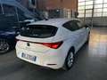 SEAT Leon Leon 2.0 TDI Business Blanc - thumbnail 7