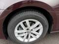 Volkswagen Golf Golf 5p 1.6 tdi Business 115cv dsg Marrone - thumbnail 10