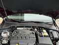 Volkswagen Golf Golf 5p 1.6 tdi Business 115cv dsg Marrone - thumbnail 9