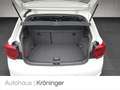 Volkswagen Polo 1.0 TSI DSG Active Klima App-Connect Weiß - thumbnail 21