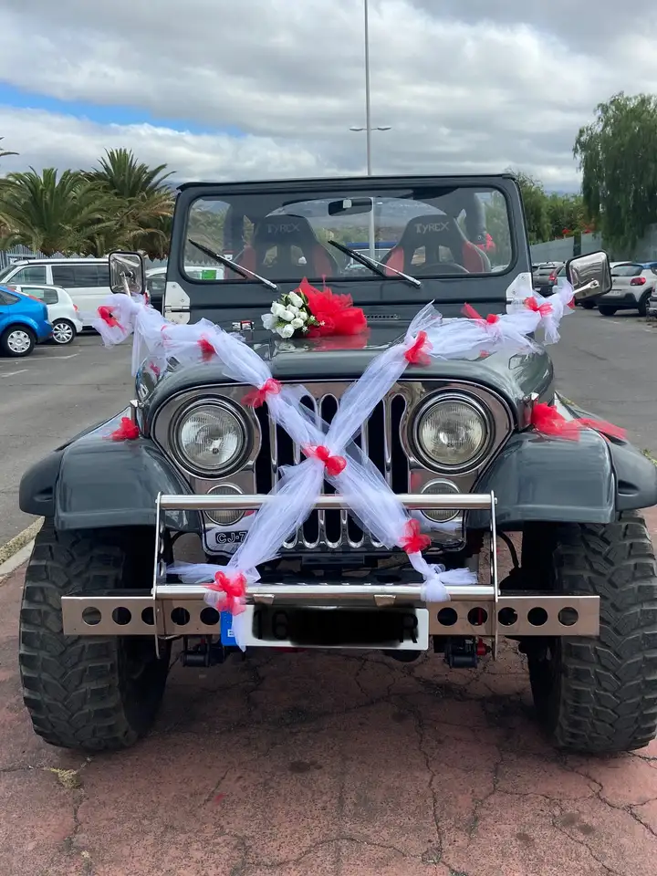 Jeep CJ-7 Renegade, foto 2