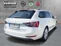 Skoda Superb Combi 2.0 TDI 7 Gang DSG,NAVI,Kamera,AHZV Weiß - thumbnail 2