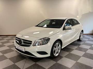 Executive E6