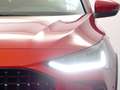 Ford Focus 1.0 Ecoboost MHEV Active 155 Rot - thumbnail 14