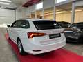 Skoda Octavia Combi Ambition*TÜV NEU*ACC*LED* Weiß - thumbnail 4
