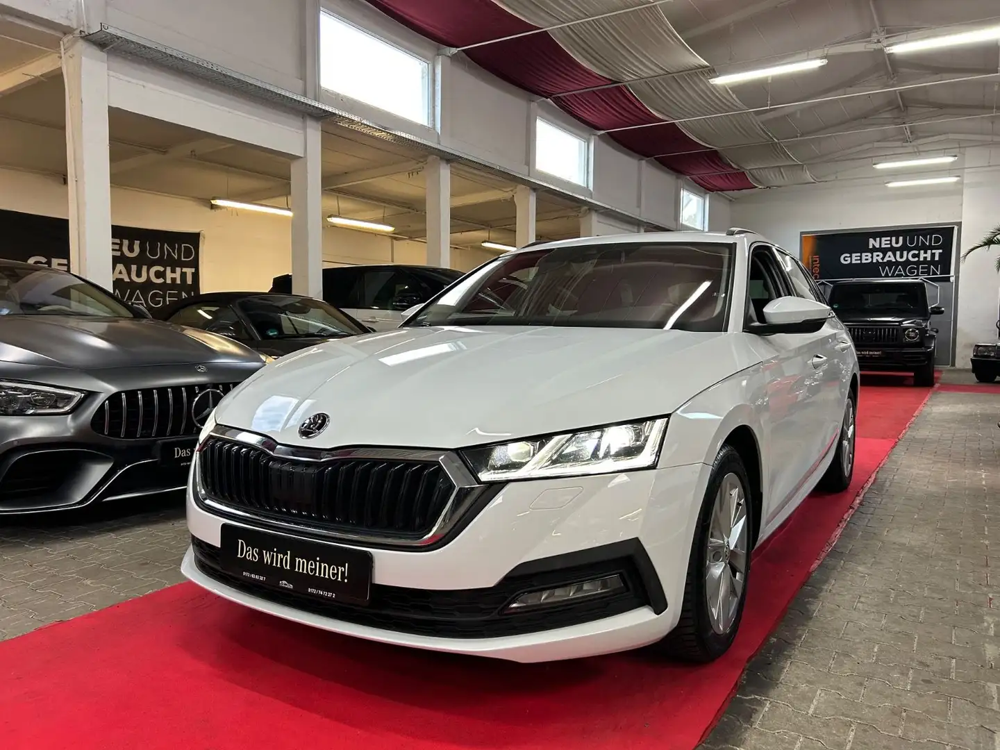Skoda Octavia Combi Ambition*TÜV NEU*ACC*LED* Weiß - 1
