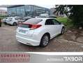 Honda Civic 1.8 Executive 40 Jahre Edition LM Nav BiXe - thumbnail 3