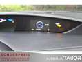 Honda Civic 1.8 Executive 40 Jahre Edition LM Nav BiXe - thumbnail 5