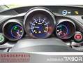 Honda Civic 1.8 Executive 40 Jahre Edition LM Nav BiXe - thumbnail 6