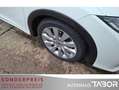 Honda Civic 1.8 Executive 40 Jahre Edition LM Nav BiXe - thumbnail 13