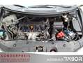 Honda Civic 1.8 Executive 40 Jahre Edition LM Nav BiXe - thumbnail 12