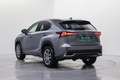 Lexus NX 300 300h Executive Navigation 4WD Gris - thumbnail 9