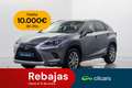 Lexus NX 300 300h Executive Navigation 4WD Grau - thumbnail 1