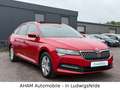 Skoda Superb Combi Ambition|PANO|VIRTUAL|AHK|ACC|LANE Rot - thumbnail 8