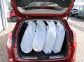 Honda Civic Tourer A5 1,8 Executive Rojo - thumbnail 8