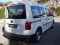 Volkswagen Caddy Kombi BMT 7 Sitzer Weiß - thumbnail 5