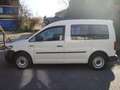 Volkswagen Caddy Kombi BMT 7 Sitzer Weiß - thumbnail 2
