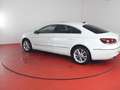 Volkswagen CC Sport 4M 3.6 FSI bis 02/2027 SHZ Navi Weiß - thumbnail 24