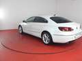 Volkswagen CC Sport 4M 3.6 FSI bis 02/2027 SHZ Navi Weiß - thumbnail 25