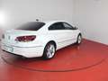 Volkswagen CC Sport 4M 3.6 FSI bis 02/2027 SHZ Navi Weiß - thumbnail 30