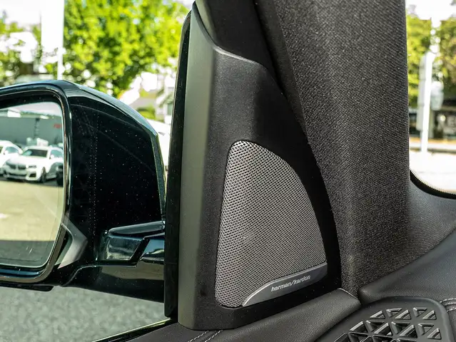 BMW X5 view 19