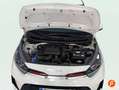 Kia Picanto 1.2 DPi AMT GT-Line Blanco - thumbnail 26