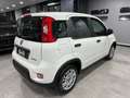 Fiat Panda 1.0 69CV HYBRID 2023 KM0 PRONTA CONSEGNA Blanco - thumbnail 6