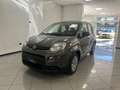 Fiat Panda Panda 1.0 firefly hybrid s Grigio - thumbnail 1