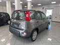 Fiat Panda Panda 1.0 firefly hybrid s Grigio - thumbnail 5