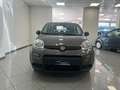 Fiat Panda Panda 1.0 firefly hybrid s Grigio - thumbnail 3