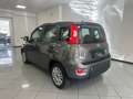 Fiat Panda Panda 1.0 firefly hybrid s Grigio - thumbnail 6