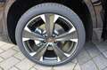 CUPRA Ateca 1.5 TSI DSG 5JGAR+AHK+ACC+19+NAVI+varLadeb Noir - thumbnail 17