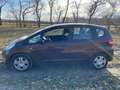 Honda Jazz Jazz 1.2 i-VTEC Brun - thumbnail 5