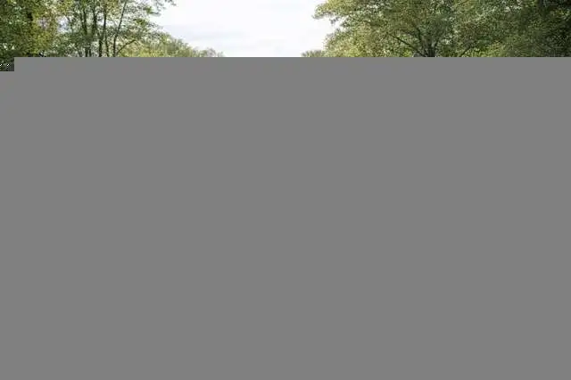 Mercedes-Benz G 230 CABRIO | BENZINE | 5-ZIT | OLDTIMER