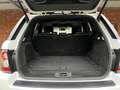 Land Rover Range Rover Sport HSE Schiebedach Memory Meridian Blanc - thumbnail 14