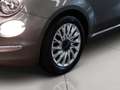 Fiat 500 1.2 lounge easypower gpl 69cv my18 Gris - thumbnail 6