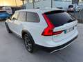 Volvo V90 Cross Country 2.0 d5 Pro awd geartronic my19 - FZ375TW Bianco - thumbnail 6