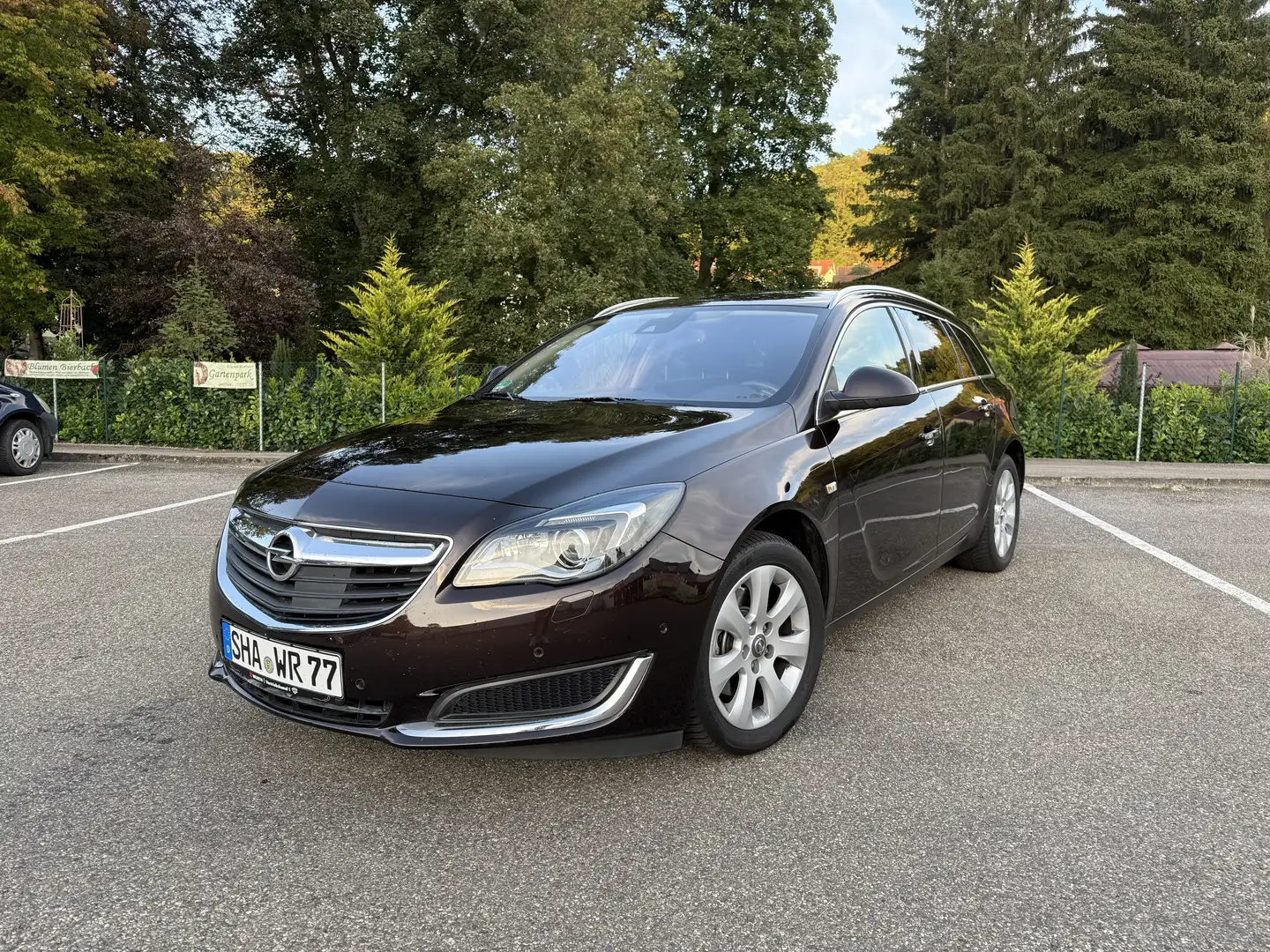 Opel Insignia 1.6 SIDI Turbo Sports Tourer Aut. Business Edition Hnědá - 2