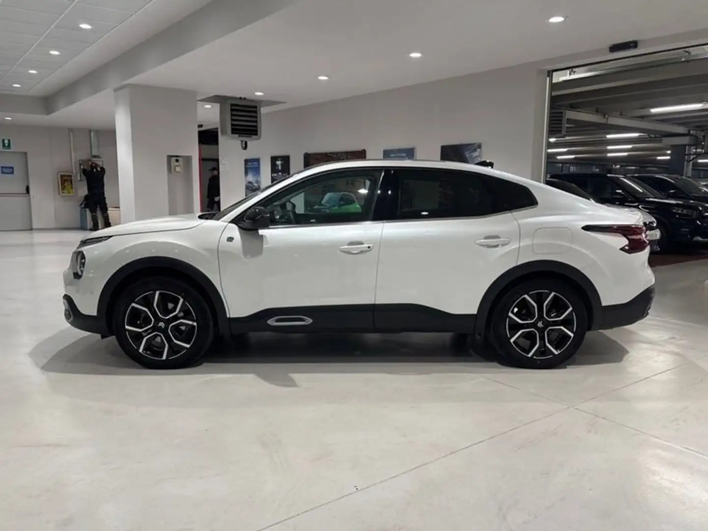 Citroen C4 X 100kW E Shine 50kWh Bianco - 2