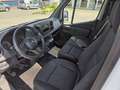 Mercedes-Benz Sprinter 314 CDI Kasten STANDARD KLIMA AHK 3-SITZER Wit - thumbnail 9