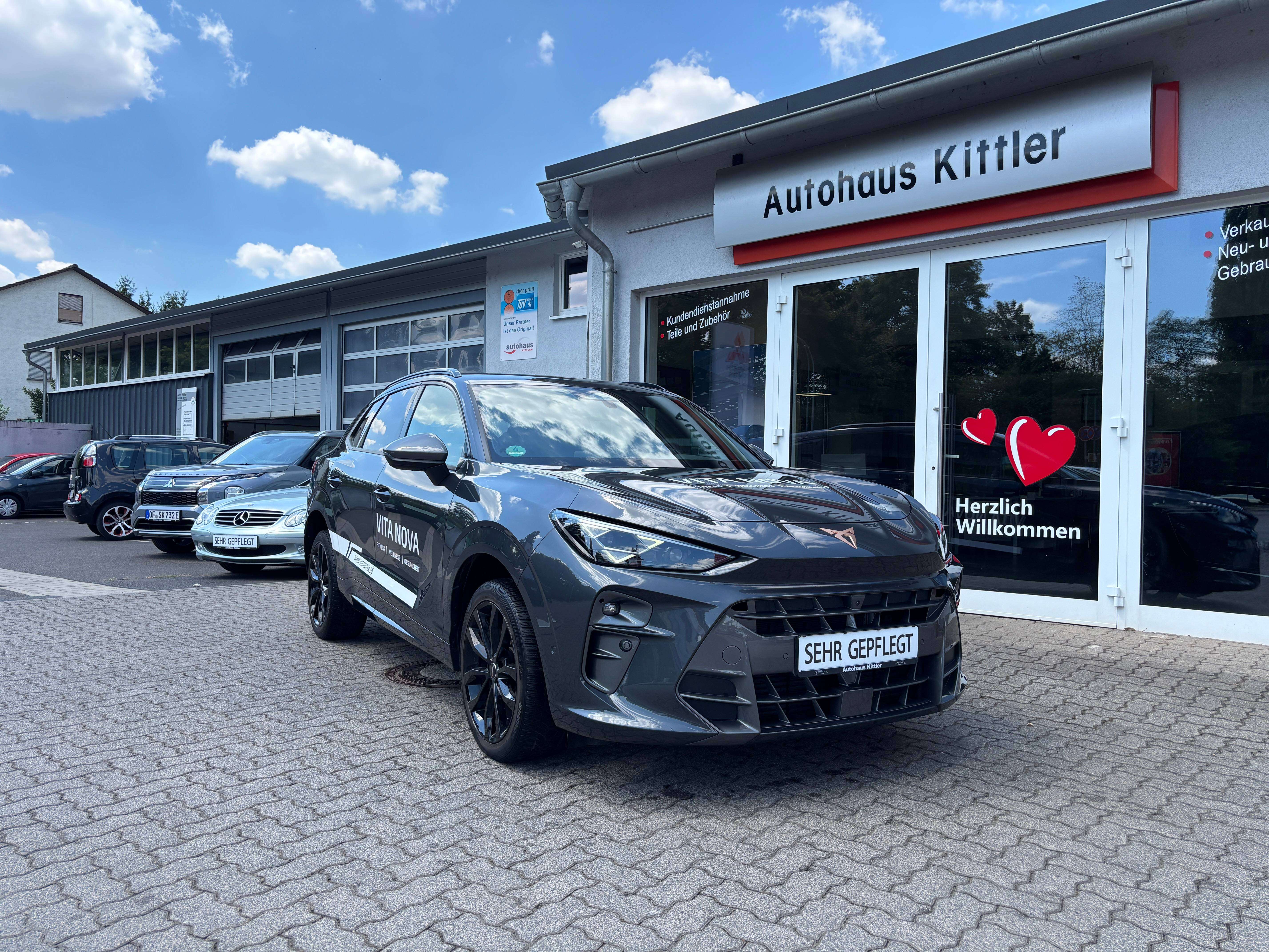 Cupra Terramar occasion