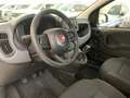 Fiat Panda 3ª serie 1.0 FireFly S&S Hybrid Bianco - thumbnail 8